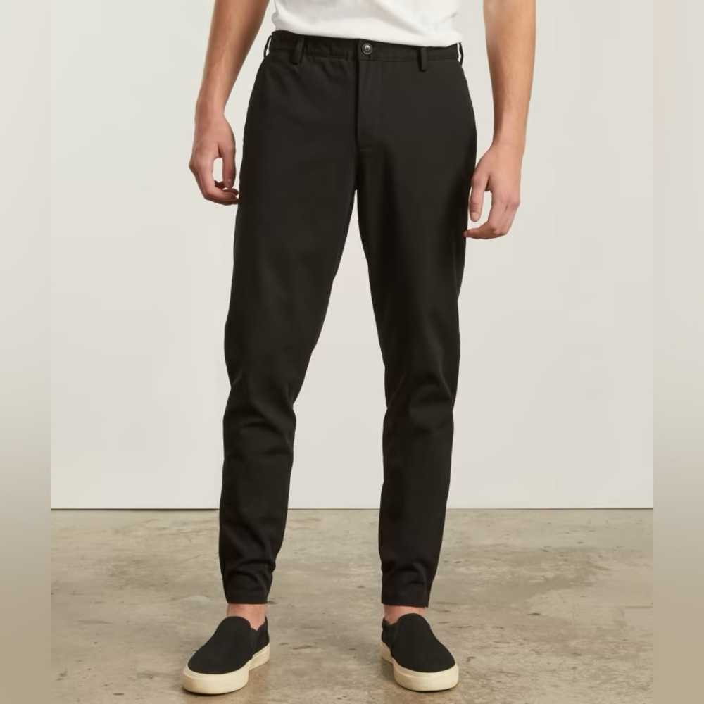 NWT Everlane The Performance Traveler Chino Size 32x32